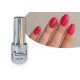 Lac gel Crackle 4 ml #581 Rozac