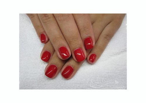 Géllakk induló készlet   