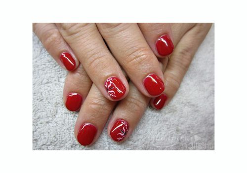 Géllakk induló készlet   